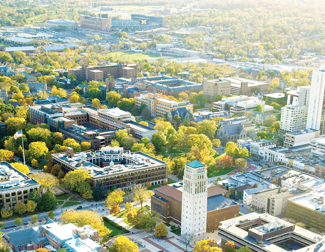 App is Live Animation